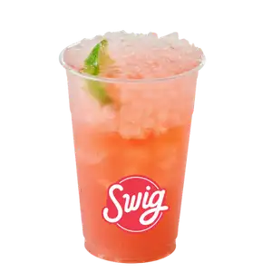 The Fighter — Swig Refreshers